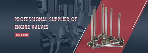 Ruidi Auto Parts Co., Ltd. - Ruidi Auto Parts Co., Ltd.