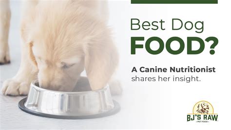 Best Dog Food A Dog Nutritionist Shares Her Insight Youtube