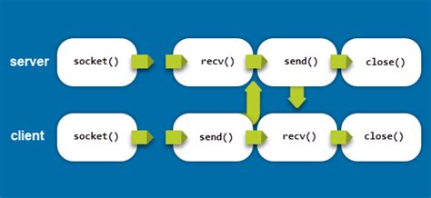 What Is Linux Socket And How Linux Uses Sockets