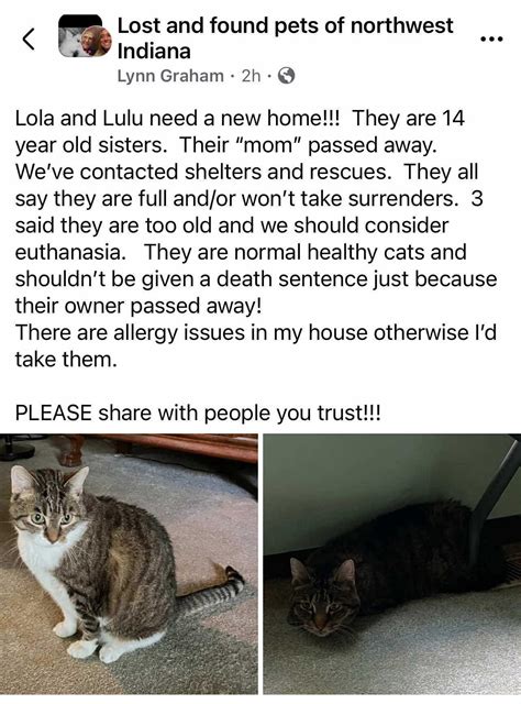 St. John Indiana Happenings | Can anyone give a home to 2 old ladies