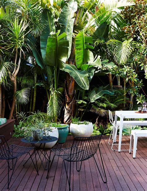 Gorgeous Tropical Garden Landscape Ideas: Tips, Benefits, And ...