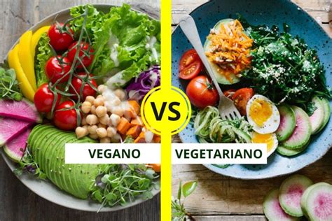 Vegetarianismo Descubra Se Vegetariano Come Peixe Ovo E Muito Mais