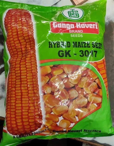 Yellow Ganga Kaveri Hybrid Maize Seeds Packaging Type Packet At Rs