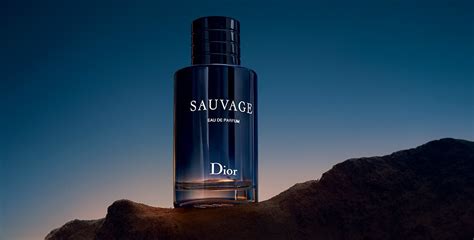 Официальный сайт DIOR | DIOR