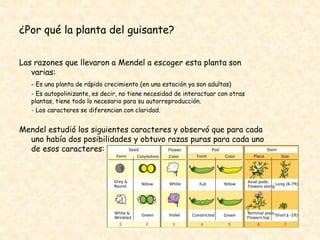 Cmc Tema La Revoluci N Gen Tica Ppt