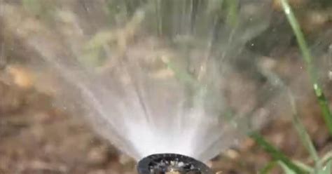 City of Aurora likely to scale back water restrictions - CBS Colorado