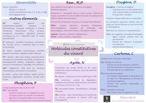 Mol Cules Constitutives Du Vivant Fiches Ide