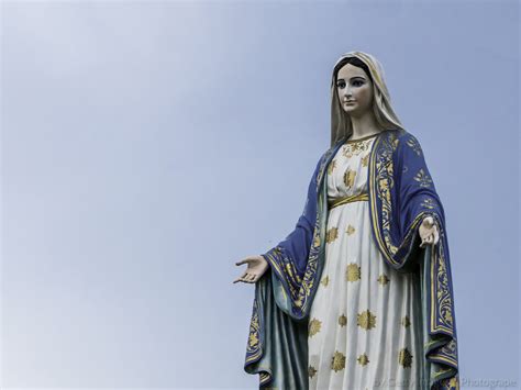 A Presen A Da Virgem Maria Na Vida De Cada Um De N S