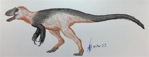 yutyrannus huali rpaleoart