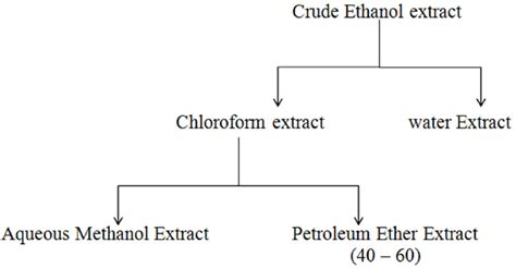 Schematic diagram of the partitioning process. | Download Scientific ... 