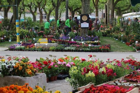 Le marché aux fleurs de Fourcès Le journal du Gers Journal d