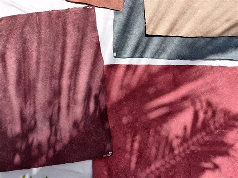 Sustainable burial options will soon be at hermitage funeral home 8