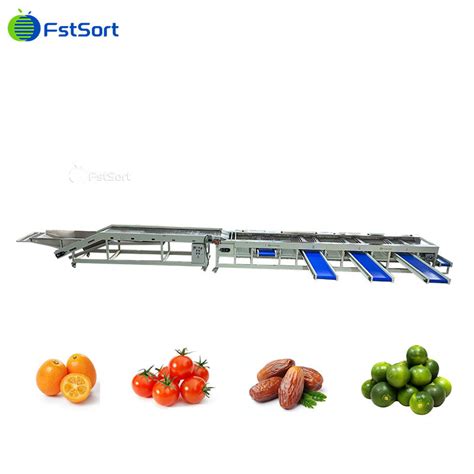 Automated Fruit Vegetable Grading And Packaging System Cherry Tomato