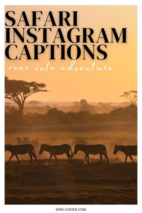 Safari Captions Roar Into Adventure For Your Instagram Posts Artofit