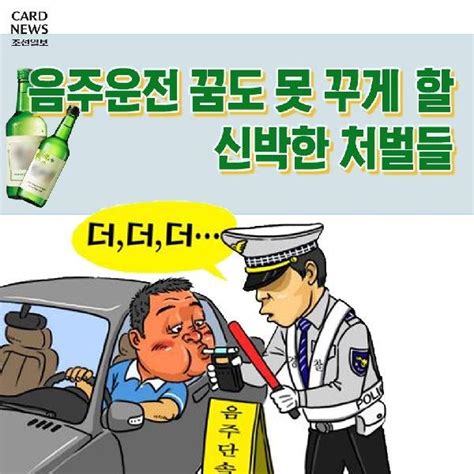 카드뉴스 음주운전 꿈도 못 꾸게 할 신박한 처벌들 네이트 뉴스