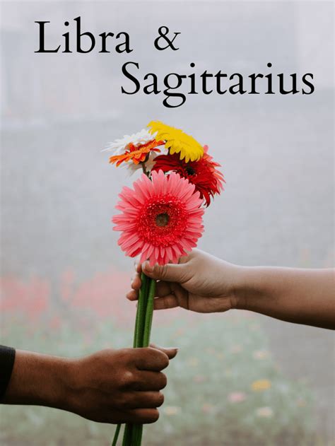 Are Libra And Sagittarius A Good Match Everything You Need To Know