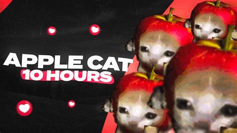 Apple Cat Running 10 Hours - YouTube