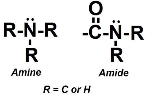 Amine Vs Amide Structure