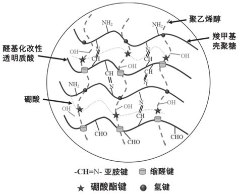 一种聚乙烯醇增强羧甲基壳聚糖水凝胶及制备方法和应用