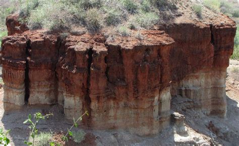 Spectacular Olduvai Gorge And Early Hominid Fossils Found In East Africa - MessageToEagle.com