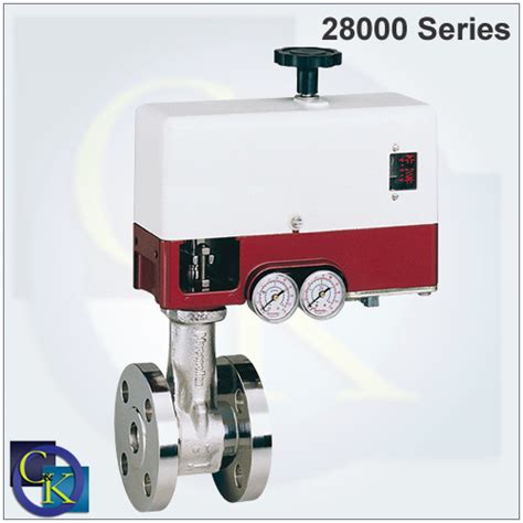 21000 Series Top-Guided Globe Control Valve