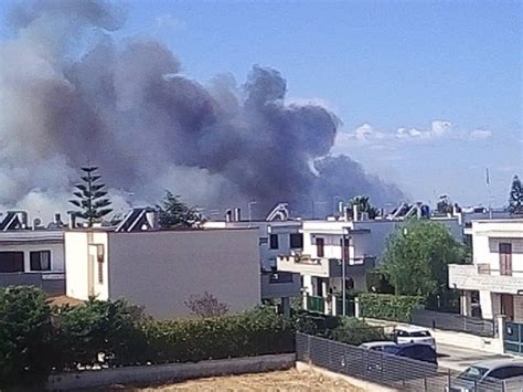 Incendi Sulla Litoranea Di Taranto Evacuate Alcune Ville