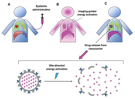 Molecular Theranostics A Primer For The Imaging Professional Ajr