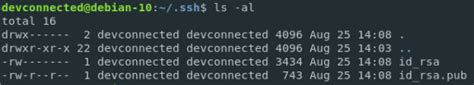 How To Set Up Ssh Keys On Debian 10 Buster Devconnected