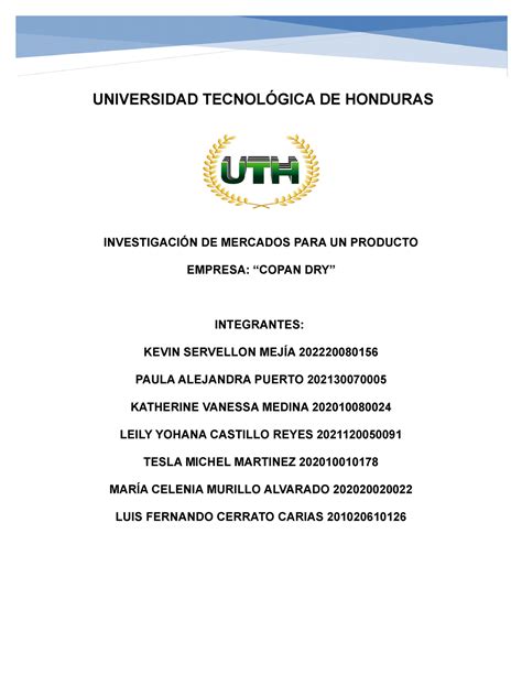 Investigaci N De Mercados Para Un Producto Copan Dry Grupo