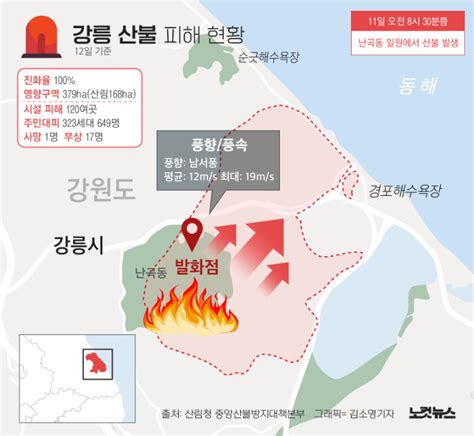 강릉 산불 8시간만에 진화피해 현황 보니 그래픽뉴스 노컷뉴스