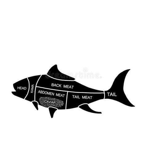 Fish Cut of Meat . Butcher Diagram, Schemem Stock Illustration ...