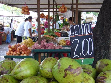 Qu Culpa Tiene El Tomate