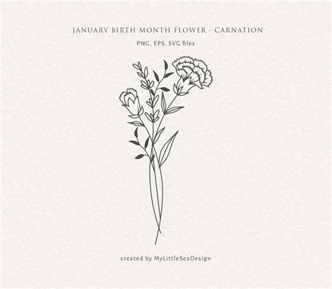 the cover art for january birth month flower - carnation