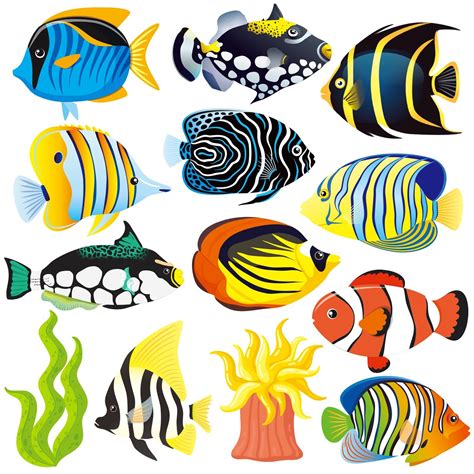 Tropical Fish Cutouts Pack Paper Colorful School Classroom Supplies