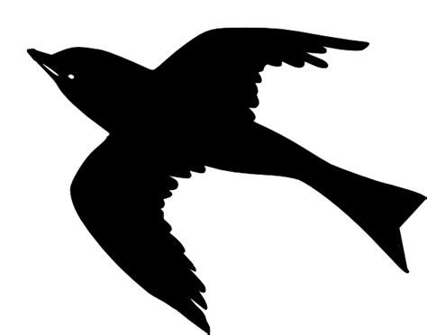 Flying Bird Shadow - ClipArt Best