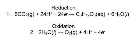 Redox and photosynthesis: A simple concept, a complicated procedure