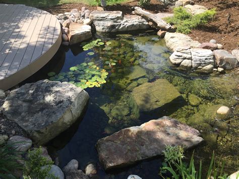 Pond With Rocks Around It