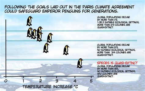 Extinct Penguin Species