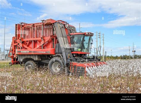 Case Ih Module Express 635 Cotton Picker Combine Harvester Picking