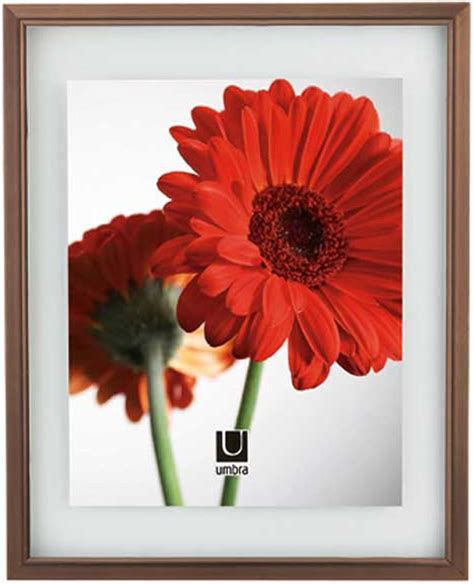 Umbra Document 11 Inch By 14 Inch Frame Metallic Bronze