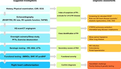 Figure 2 From Nitric Oxide Pulmonary Arterial Hypertension The Clinical Syndrome Semantic Scholar