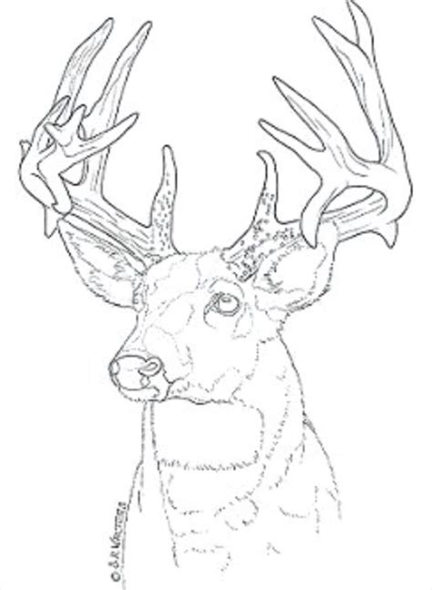 Printable Deer Wood Burning Patterns