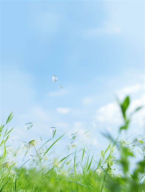 Barbarajones Nature Fresh Sky Blue Sky And White Clouds Pla