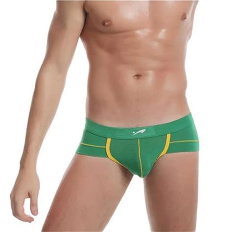 2016 Men Mesh Briefs Sexy Men Modal Transparent Breathable Brief Gay Underwear Thin Mens