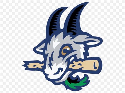 Dunkin Donuts Park Hartford Yard Goats Minor League Baseball