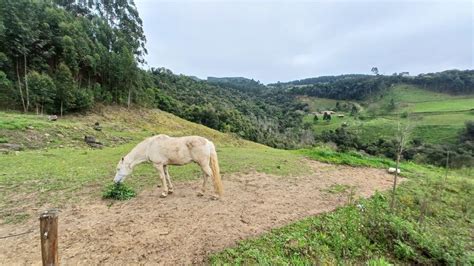 Fazenda S Tio Na Rua Jos De Anchieta Centro Em Alfredo Wagner