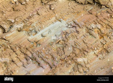 Soil Structure Hi Res Stock Photography And Images Alamy