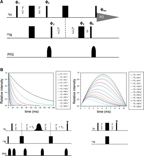 The ¹h R2 Weighted ¹⁵n Hsqc Ap Pulse Experiment A Pulse Sequence Used