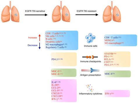 Immunological Effect Of Tyrosine Kinase Inhibitors On The Tumor Immune