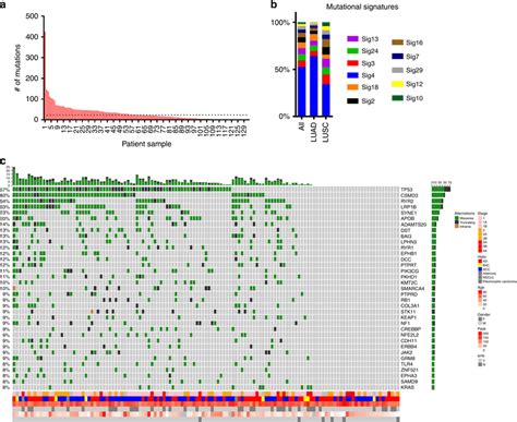 Somatic Mutation Profile Of Lung Cancer In Aas A Distribution Of